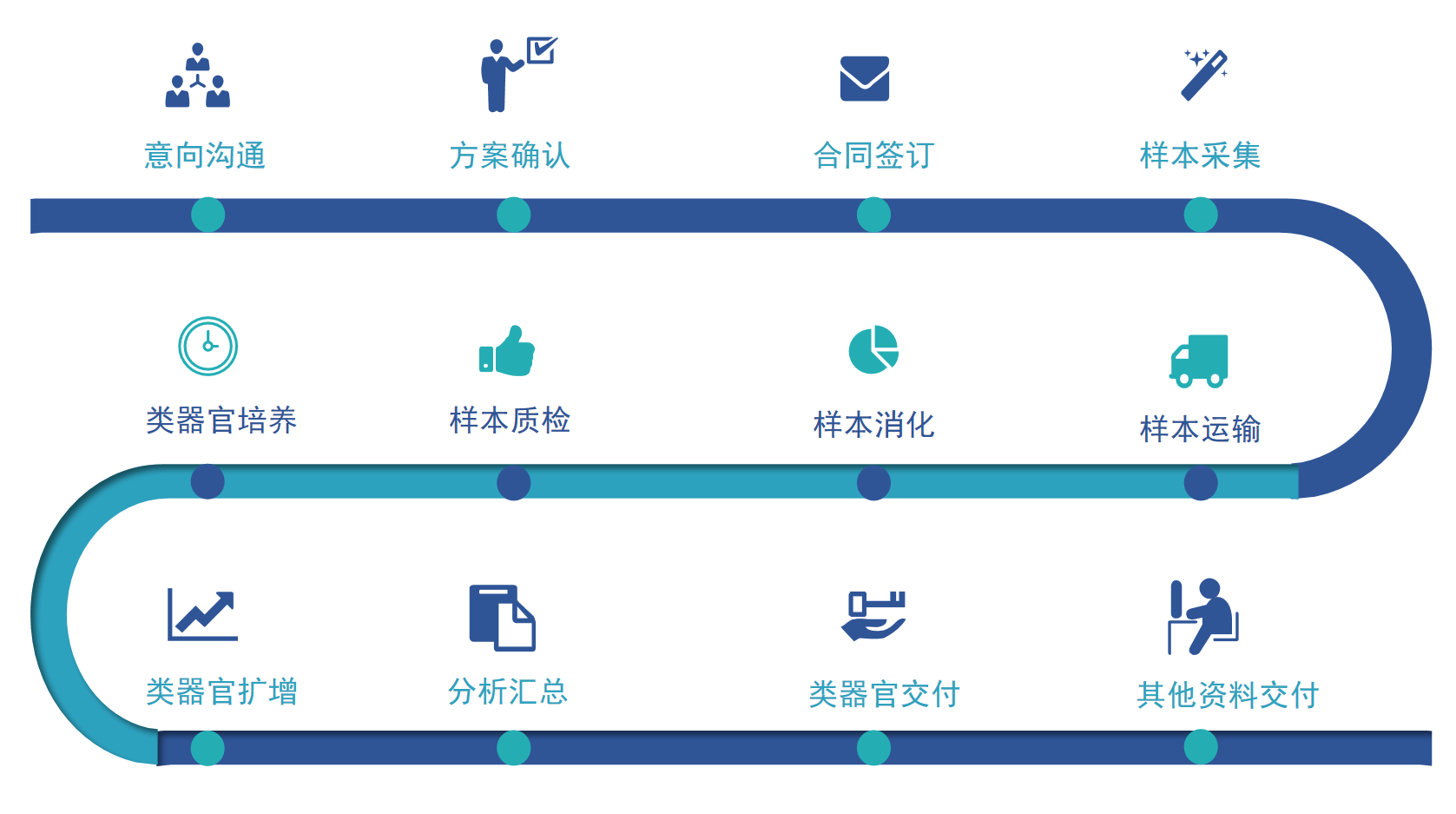 类器官建模服务流程图